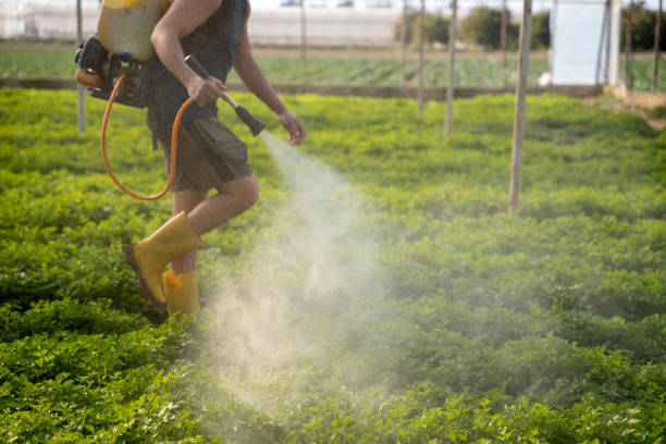 Best Ant Control Services  in Fairborn, OH