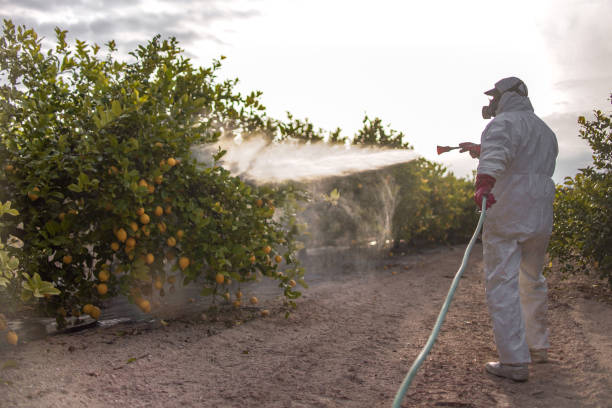 Best Affordable Pest Control Services  in Fairborn, OH