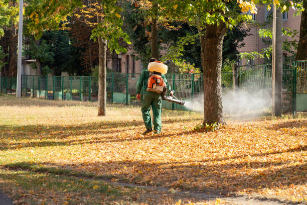Best Pest Control for Businesses  in Fairborn, OH